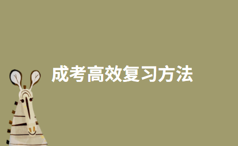 2022年成考高效复习方法