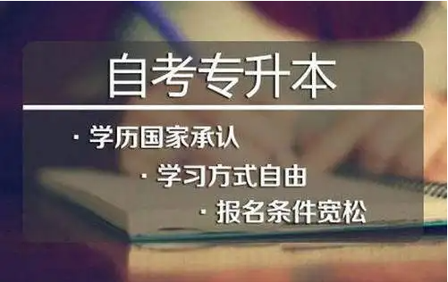 重庆夜大可以报考什么专业