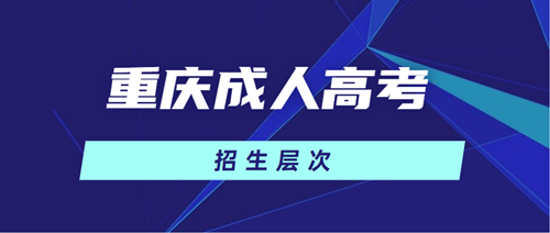 2020年重庆成人高考招生层次